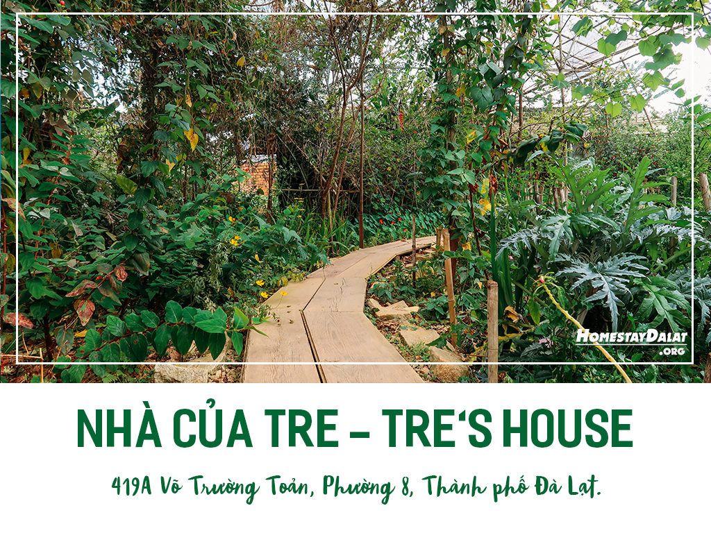 Giới thiệu homestay Nhà Của Tre - Tre's House - top 4 homestay Đà Lạt tháng 5 năm 2019 do HomestaydalatORG bình chọn