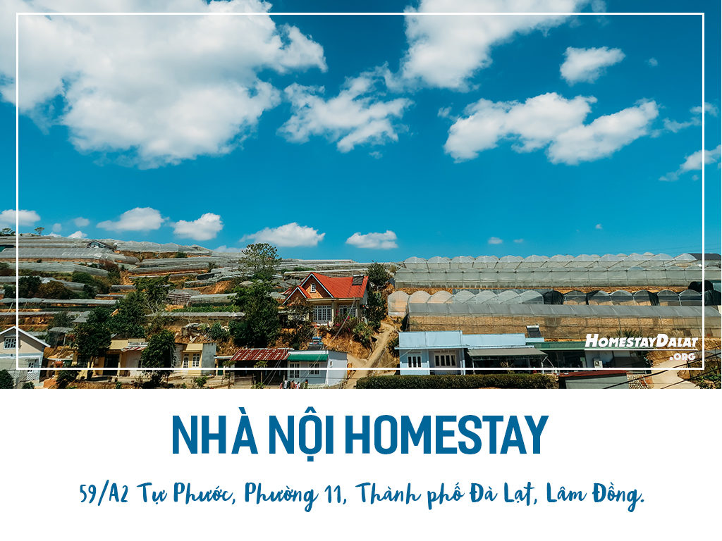 Giới thiệu Nhà Nội homestay