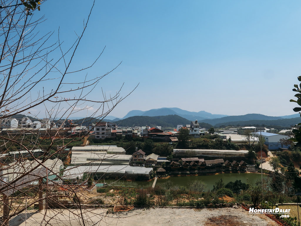 View đồi HomeFarm Đà Lạt