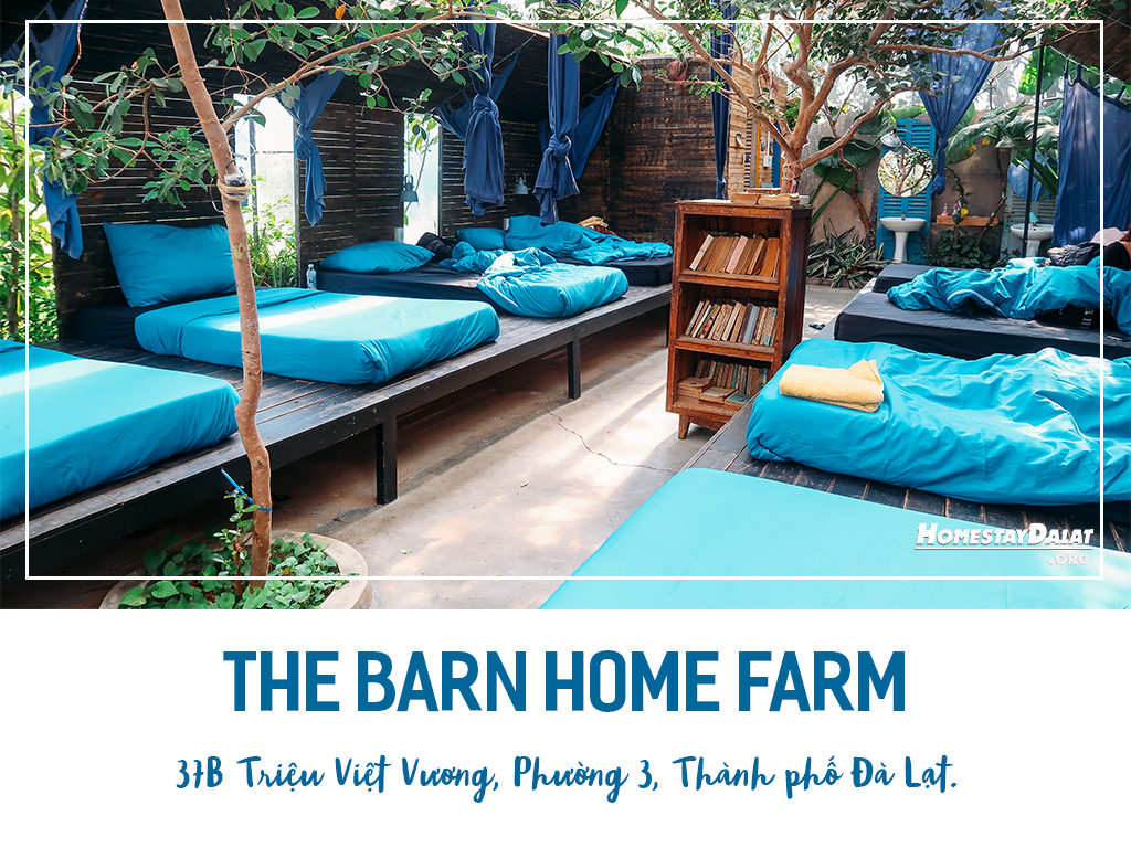 Giới thiệu The Barn Home Farm homestay Đà Lạt