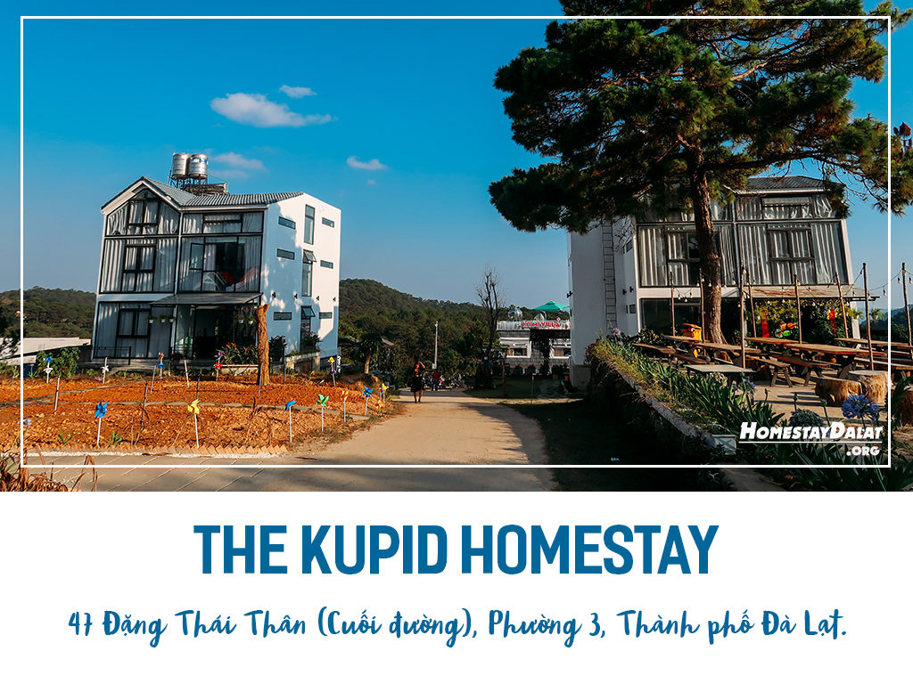 Giới thiệu The Kupid homestay Đà Lạt