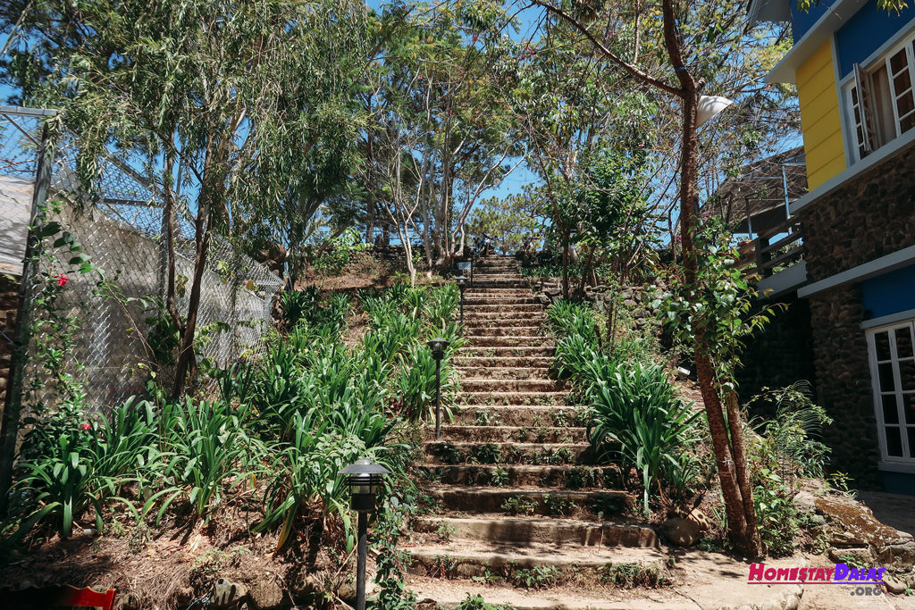 Những bậc thang nối homestay Moonraise Garden với đường Đặng Thái Thân