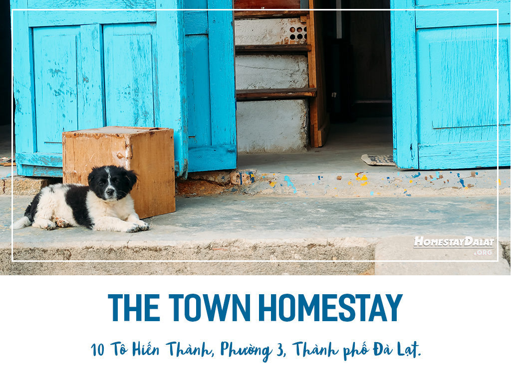 Thông tin The Town homestay Đà Lạt- top 4 homestay Đà Lạt tháng 5 năm 2019 do HomestaydalatORG bình chọn