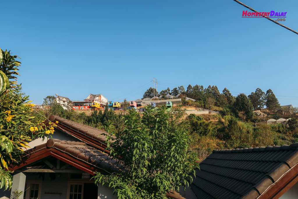 View đồi thoáng mát ở Together homestay Đà Lạt