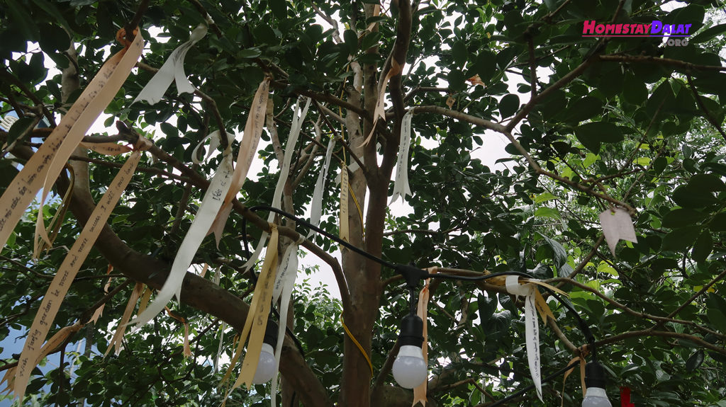 Những điều ước và nhắn nhủ được ghi lại trên cây