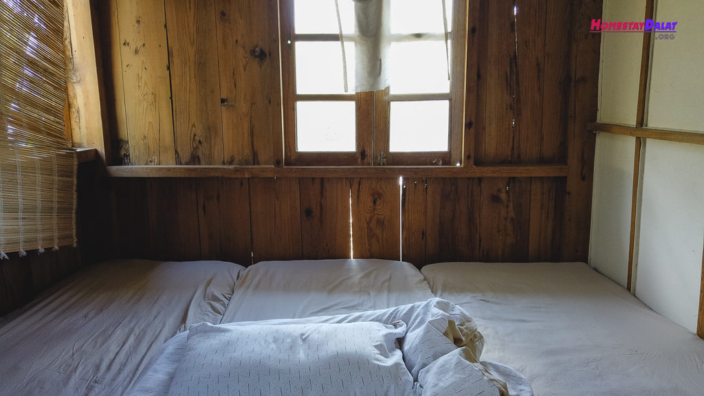 Phòng dorm ở Home Me homestay Đà Lạt