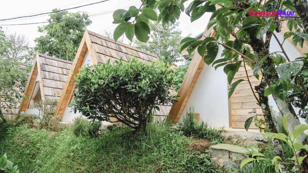 Những căn phòng bungalow Teepee homestay