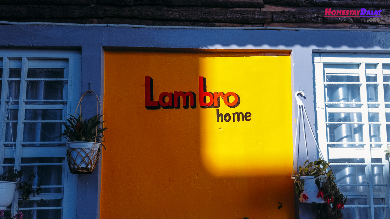 Lambro Home Đà Lạt | Homestay phong cách boho cổ điển CỰC LẠ
