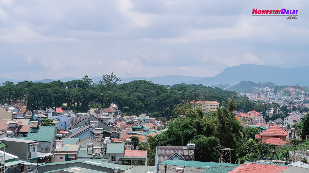 View MrLee Dalat House